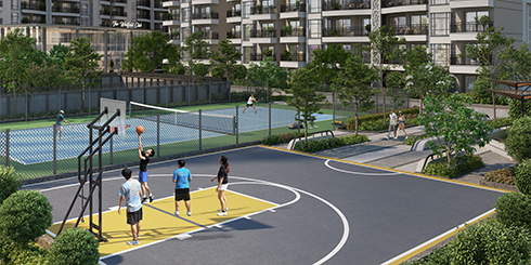 Basket Court