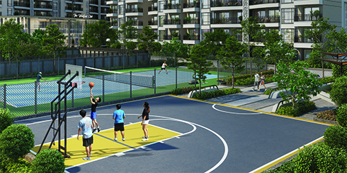 Basketball Court